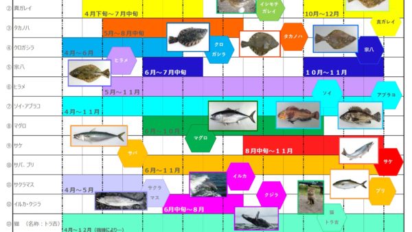 黄金マリンで釣れる魚を季節ごとにまとめた魚群カレンダー画像