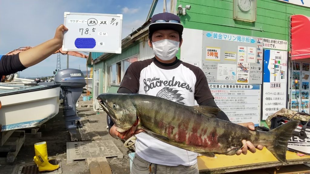 北海道伊達市、黄金マリン鮭ダービー2021年結果発表、第1位78㎝