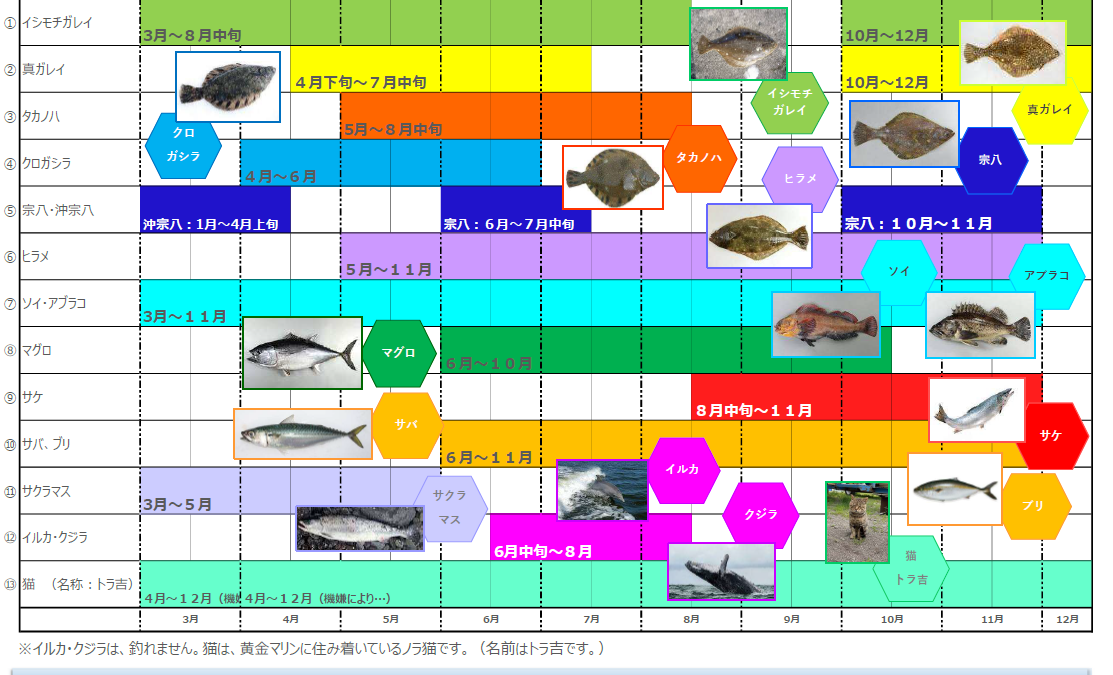 魚群カレンダー