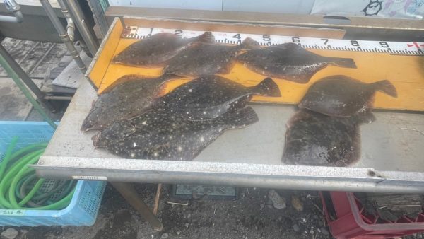 レンタル釣果報告　2024.5.6