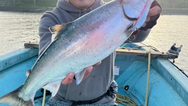 今日の遊漁船　2024.6.12